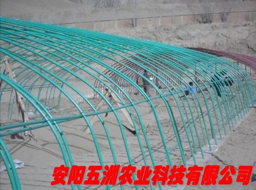 多功能鋼管鍍塑大棚機器 保溫板蔬菜大棚 大棚骨架