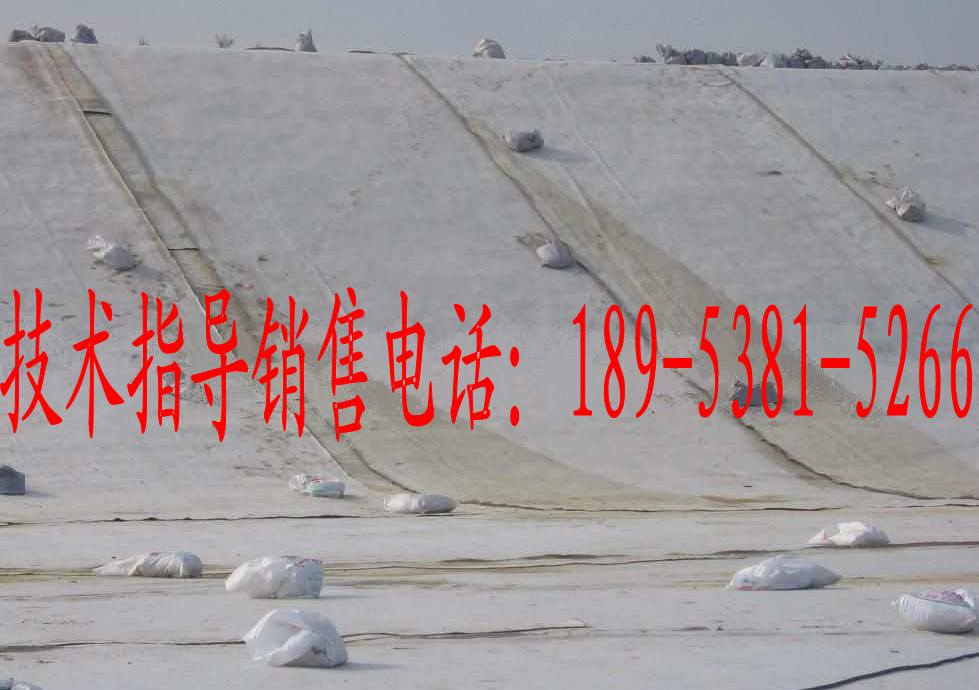批發(fā)長(zhǎng)沙鈉基膨潤(rùn)土防水毯，長(zhǎng)沙鈉基膨潤(rùn)土防水毯價(jià)格