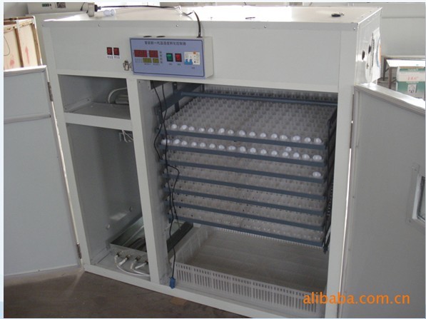 供應(yīng)資陽全自動孵化機(jī) 眉山市微電腦孵化設(shè)備 西昌市卵孵化器
