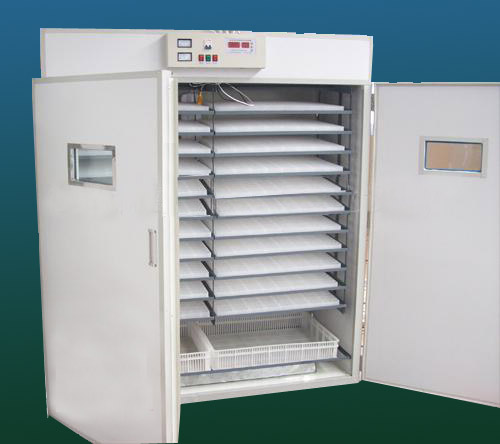 供應黃石孵化機 荊門市全自動孵化機 鄂州孵化機器 孝感孵化設備