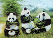 嘉興三維立體畫，紹興全景奇畫，金華立體畫培訓(xùn)