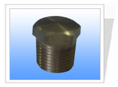 供應(yīng)ASME B16.11美標(biāo)圓頭管塞02