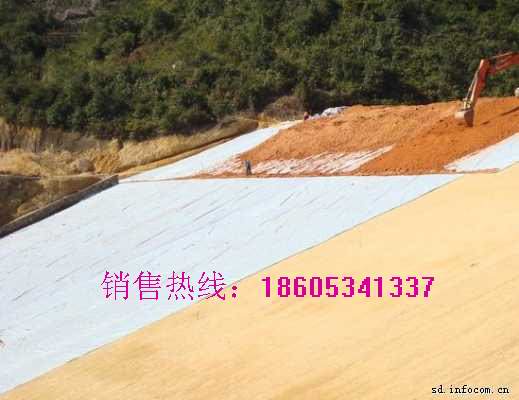 污水處理廠專用防水板找華龍胡壽良