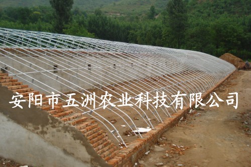 花卉鋼管鍍塑大棚 養(yǎng)殖雙梁大棚 鋼管鍍塑大棚骨架機(jī)