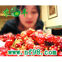  農(nóng)豐水產(chǎn)養(yǎng)殖、優(yōu)質(zhì)水產(chǎn)種苗、供應(yīng)水產(chǎn)種苗