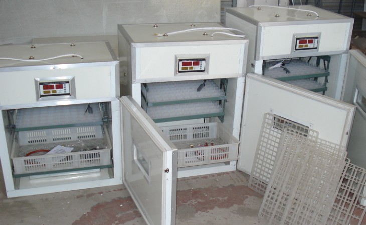 供應廈門孵化機 福州市全自動孵化機 福建孵化機器電腦孵化設備