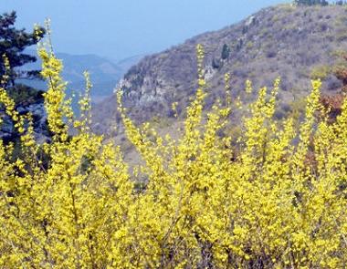 仰天山潍坊市森林旅游景点|青州地质公园旅游|山东森林旅游|潍坊旅游|青州旅游