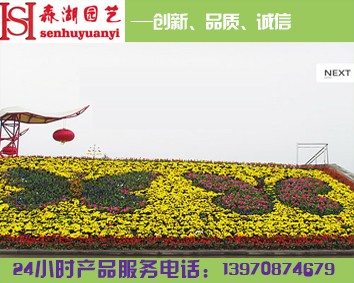 南昌花卉租賃,江西花卉批發(fā)，江西花卉種植基地在哪