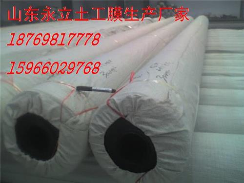 防渗膜垃圾填埋场专用HDPE土工污水处理土工膜