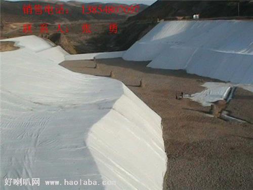 防渗膜土工材料 建材土工膜厂家 山东永立土工膜1385407097防渗膜厂家