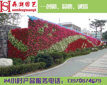 江西花卉批發(fā)銷售,花卉種植基地,南昌花草基地