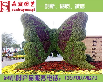 南昌大型會(huì)展花卉布置,江西花卉租擺哪家供應(yīng)