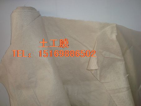 供應(yīng)景觀河道PE塑料薄膜光面糙面土工膜15169886502