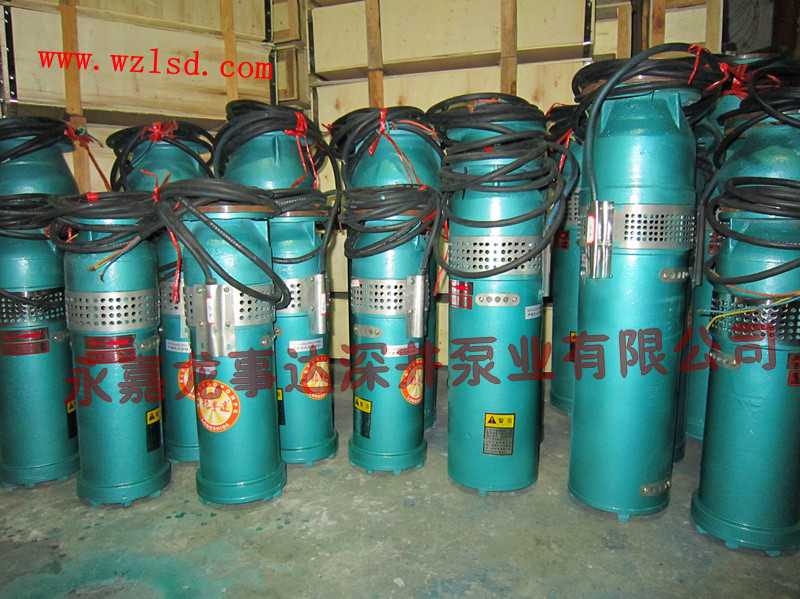 廠家直銷新型環(huán)保不銹鋼噴泉泵，美化環(huán)境噴泉用龍事達(dá)不銹鋼噴泉泵