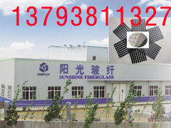 榆林，錦州，塑料，鋼塑，滌綸，玻纖格柵生產(chǎn)廠家，