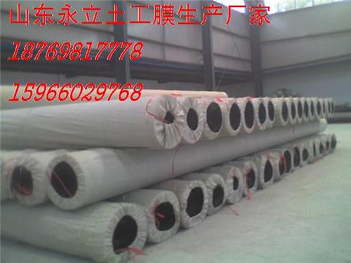 防渗膜土工膜 建材土工膜厂家 山东永立土工膜7778