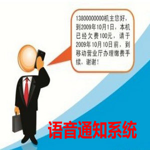 供應航空訂票系統 dprx 400呼叫中心5