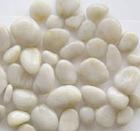 水處理濾料 除油濾料 果殼濾料 質(zhì)優(yōu)價(jià)廉 宇誠(chéng)凈水