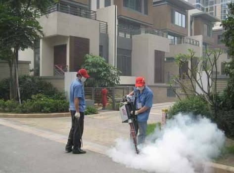 佛山大象有害生物樂從滅蚊服務(wù) 大良滅蠅服務(wù) 佛山滅跳蚤服務(wù)廣東