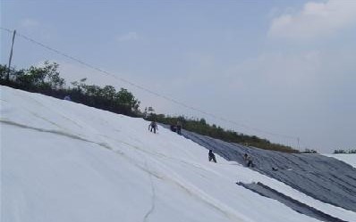 寧德復(fù)合土工膜直銷土工膜廠家東方公司掛牌上市成功