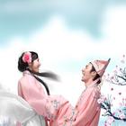 {zh0}的婚介所