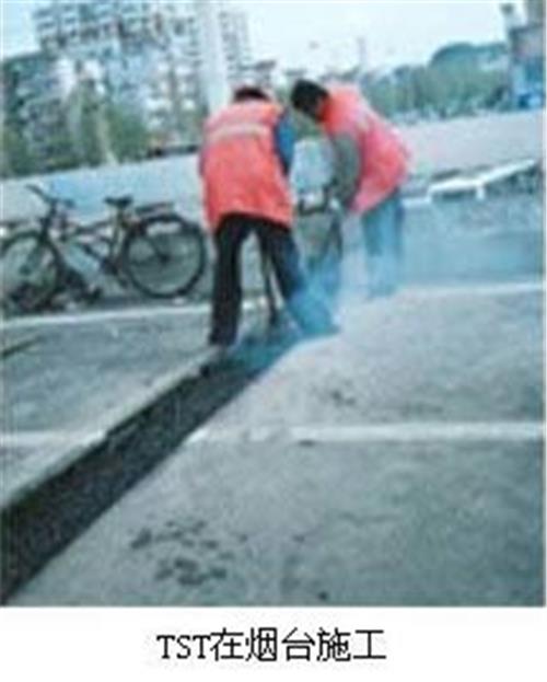 TST弹塑体RS橡胶粘结料GTF高弹体无缝伸缩缝