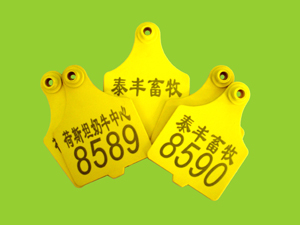供應(yīng)石碣|(zhì)石排|石龍|企石|稻草人皮具專用C02激光打標(biāo)機(jī) 激光雕刻機(jī)