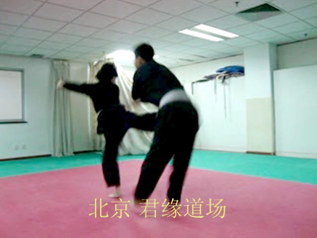|合氣道視頻|合氣道教學視頻|合氣道培訓|合氣道教練培訓|