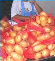 長沙專業(yè)生產(chǎn)充氣袋,PO充氣袋b