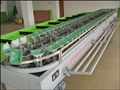 蔬菜清洗機(jī)代理|蔬菜清洗機(jī)批發(fā)|蔬菜清洗機(jī)馨科世界馳名