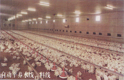 求購畜牧養殖設備價格，養殖設備廠家，生產銷售養殖設備更多