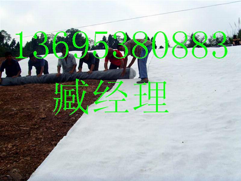 江蘇膨潤土防水毯|網址www.fstcj.com
