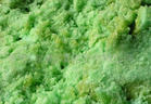 濟(jì)南昌英達(dá)化工一水硫酸亞鐵，工業(yè)級(jí)硫酸亞鐵，飼料級(jí)硫酸亞鐵15066124278