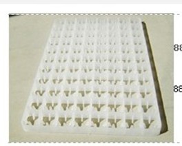 供應(yīng)巴中孵化機 南充全自動孵化機 攀枝花孵化機器 廣安孵化設(shè)備