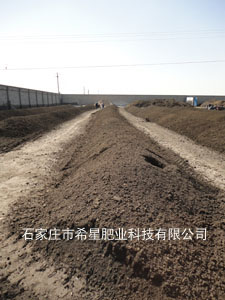 供應(yīng)干雞糞、雞糞有機(jī)肥 希星廠家指導(dǎo)方案