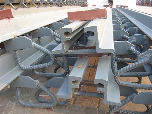 桥梁伸缩缝型钢伸缩缝专利产品80 160型