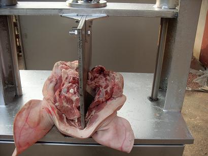 供應液壓型腳踏式劈豬頭機|廠家直銷劈豬頭機