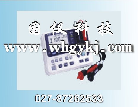 銷售江西水內(nèi)冷發(fā)電機(jī)專用泄漏電流測量儀，江西電流測量儀 02787262533