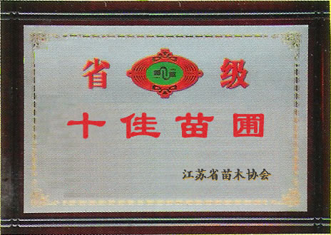 江蘇銀杏樹基地，2011年銀杏樹價格表