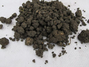 供應(yīng)油茶專用肥 {sx}希星雞糞有機(jī)肥