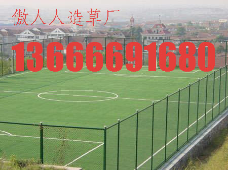 寧波 供應(yīng)乒乓球地膠 傲人體育