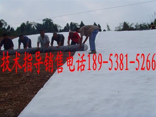 批發(fā)長沙鈉基膨潤土防水毯，長沙鈉基膨潤土防水毯價(jià)格