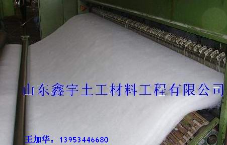 國標(biāo)HDPE|復(fù)合防水板{zd1}價找王總