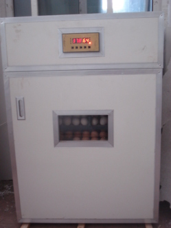供應酒泉孵化機 卵化機器 蘭州市全自動孵化機 電腦孵化設備