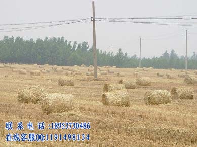 9廠家供應稻草自走撿拾式打捆機 圓捆機 