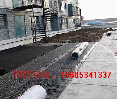 中國{zd0}的土工格柵生產廠家/土工格柵品種齊全18605341337