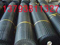 專業生產，玻纖格柵，鋼塑格柵，塑料格柵施工方法，滌綸格柵價格，生產廠家