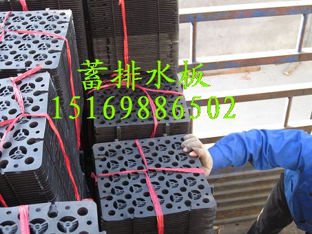 供應(yīng)蓄排水板屋頂綠化專用，塊狀排水板，方形排水板15169886502