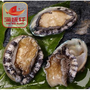 供應速食米飯伴侶 炸味海藻米飯伴侶 微辣口味 100g