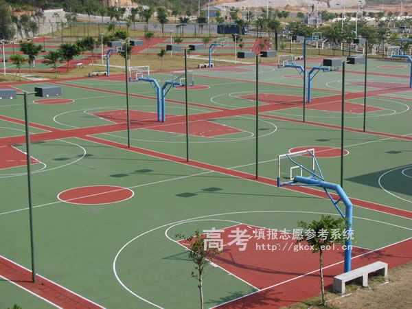 中山塑膠跑道翻新，中山塑膠跑道施工，價格實惠